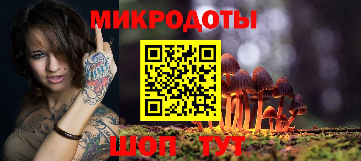 Псилоцибиновые грибы мицелий Приморско-Ахтарск