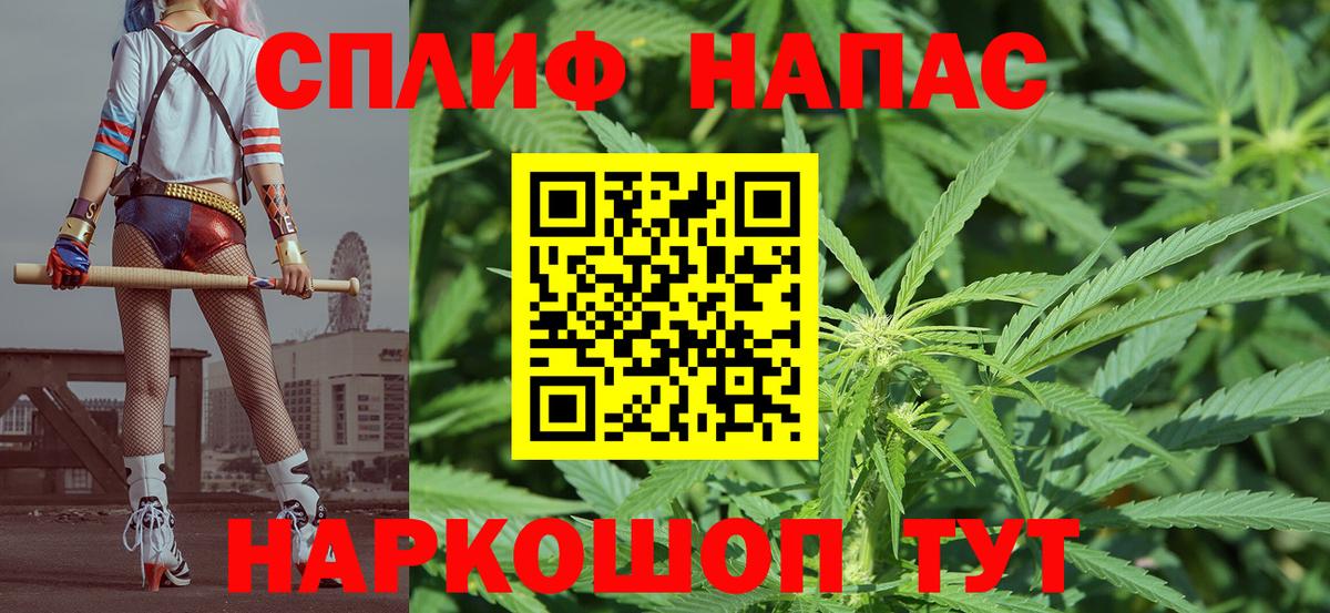 Бошки марихуана планчик Приморско-Ахтарск